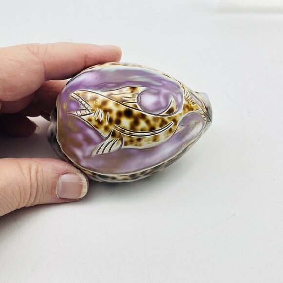 Cowrie Sea Shell Purple Top Hand Carved Engraved Swimming Shark Fish Beach Coast - Picture 7 of 9